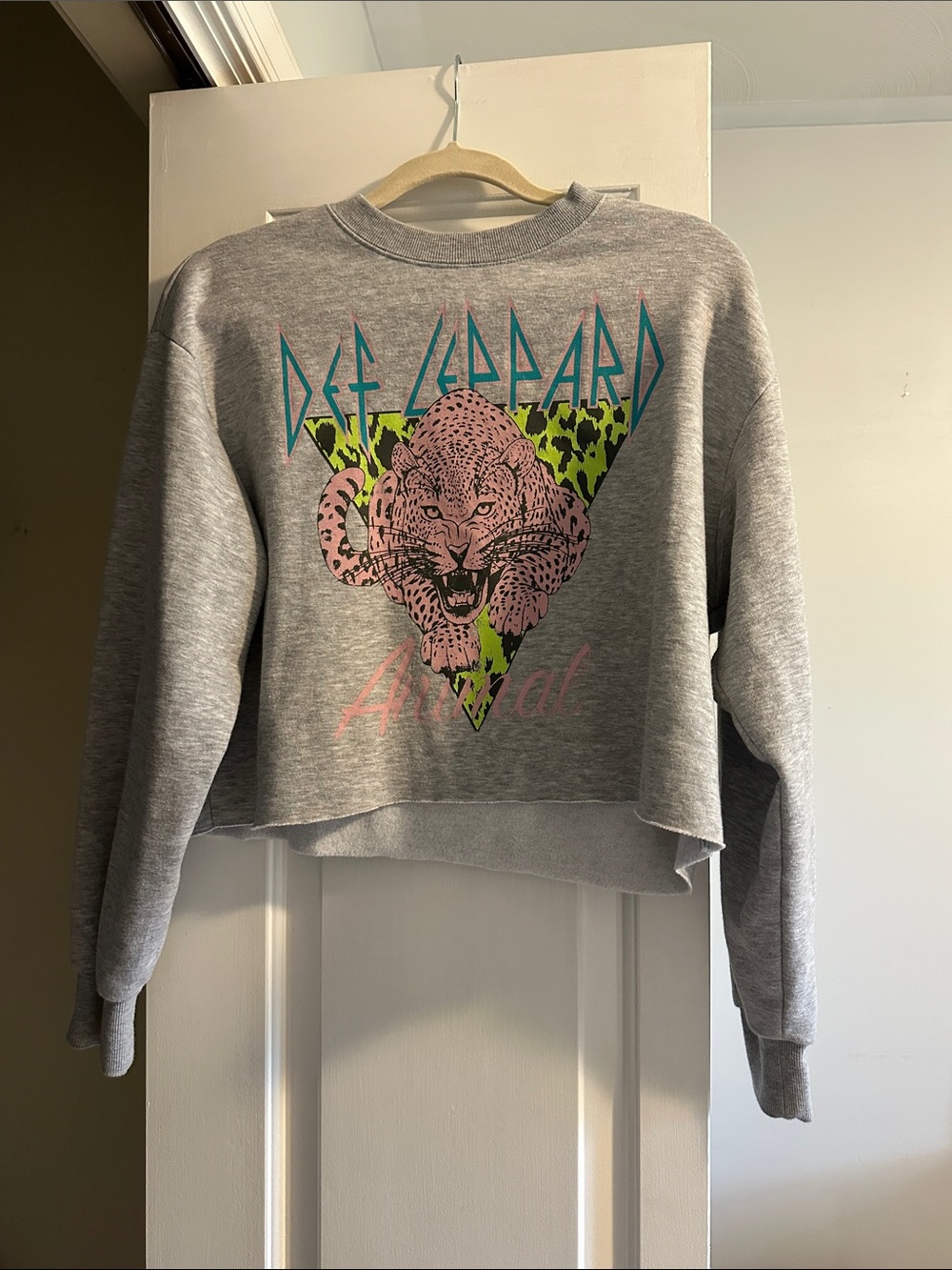 Def Leppard Cropped Sweatshirt
